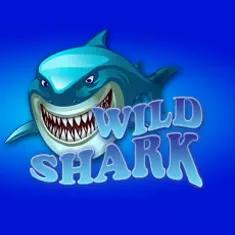 gameimage