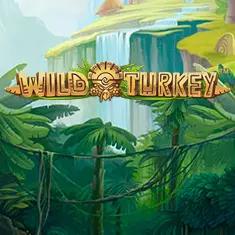 gameimage