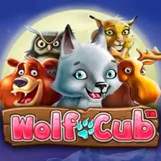 gameimage